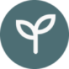 Group-10-2-e1702656619991.png